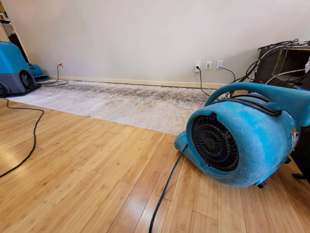 Professional Structural Drying technician working in Frazier Park, CA